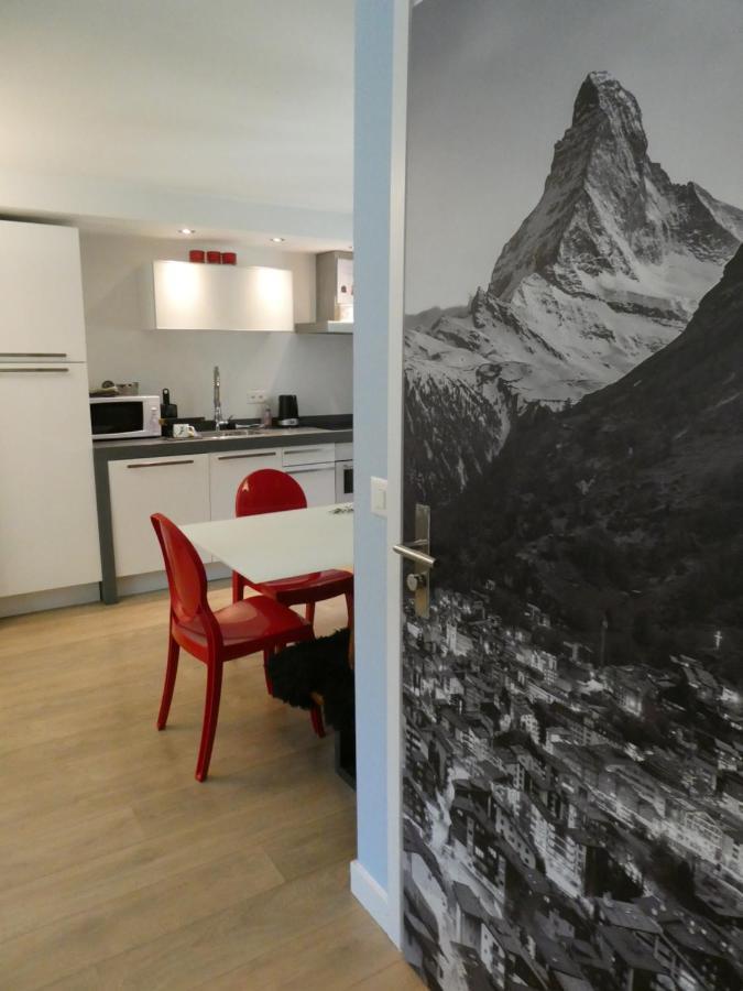 Central & Elegant Apartments,Partially With Fireplace, By Zermatt Rental Dış mekan fotoğraf