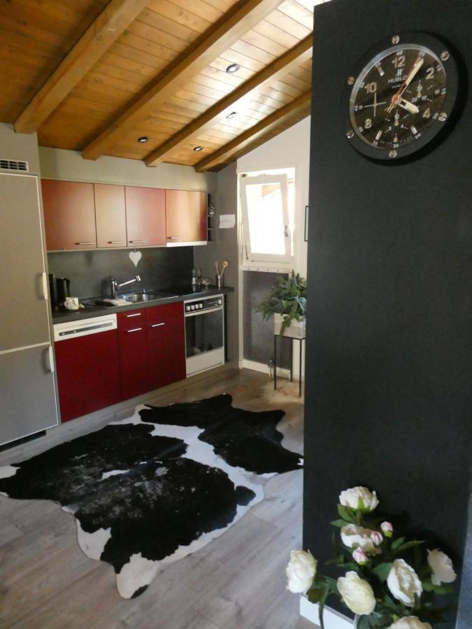 Central & Elegant Apartments,Partially With Fireplace, By Zermatt Rental Dış mekan fotoğraf